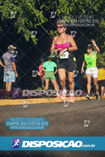 Vale Verde Run 2024