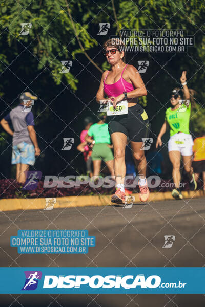 Vale Verde Run 2024