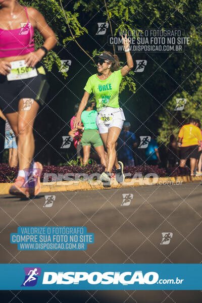 Vale Verde Run 2024