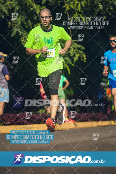 Vale Verde Run 2024