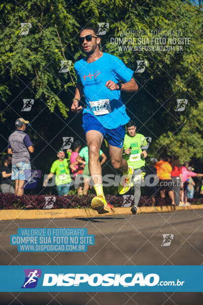 Vale Verde Run 2024