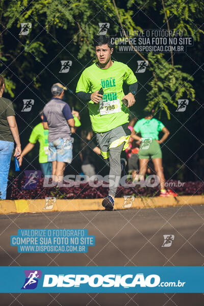 Vale Verde Run 2024