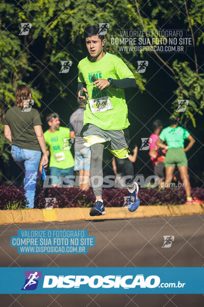 Vale Verde Run 2024