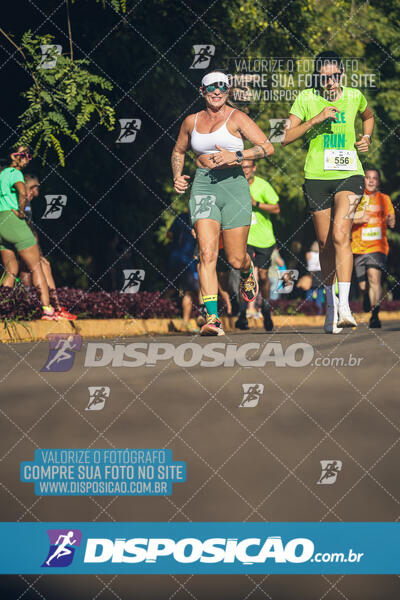 Vale Verde Run 2024