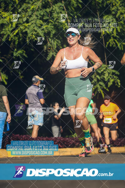 Vale Verde Run 2024