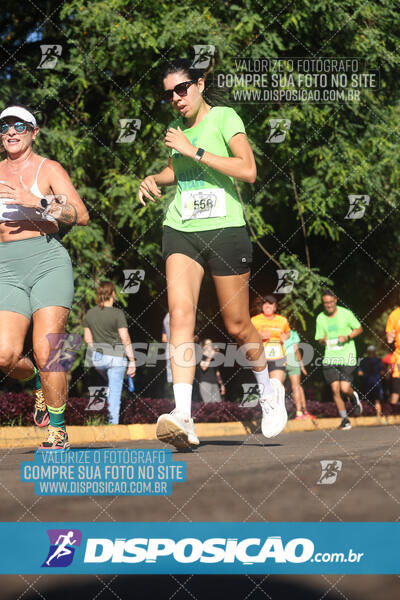 Vale Verde Run 2024