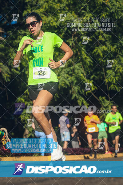 Vale Verde Run 2024