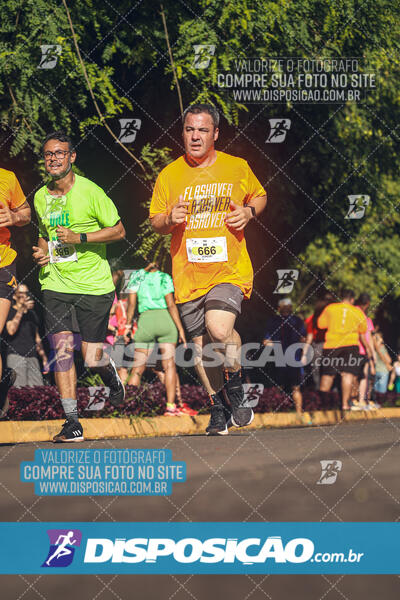 Vale Verde Run 2024