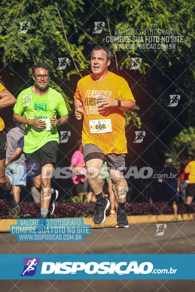 Vale Verde Run 2024