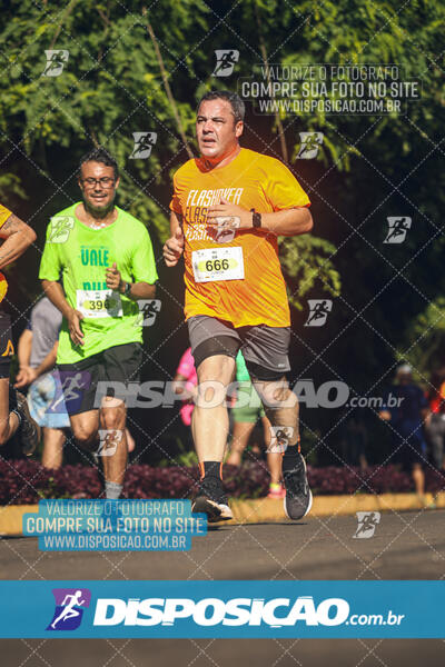 Vale Verde Run 2024