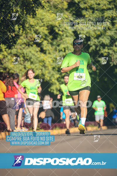 Vale Verde Run 2024