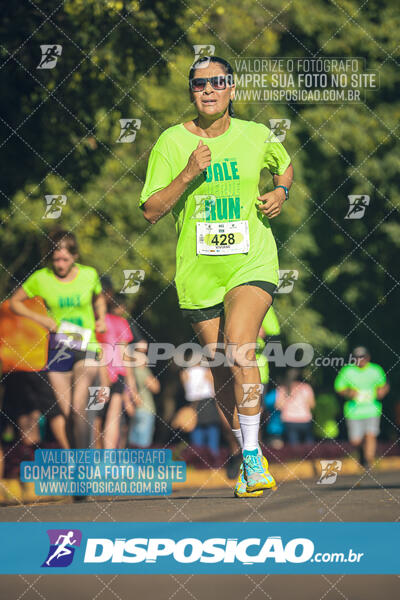 Vale Verde Run 2024