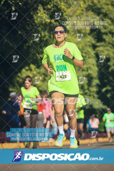 Vale Verde Run 2024