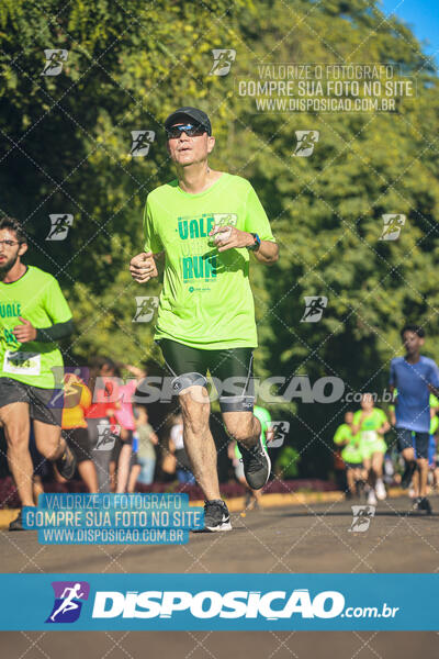 Vale Verde Run 2024