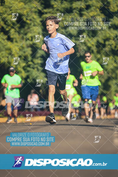 Vale Verde Run 2024