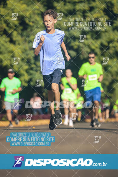 Vale Verde Run 2024