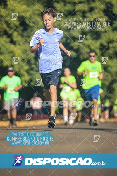 Vale Verde Run 2024