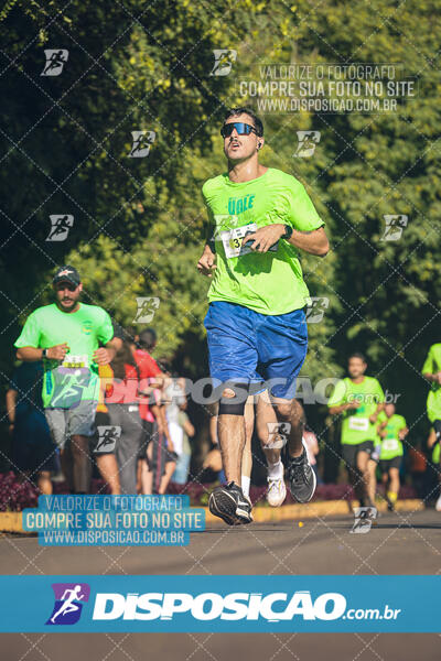 Vale Verde Run 2024