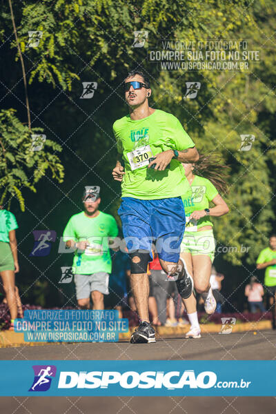 Vale Verde Run 2024