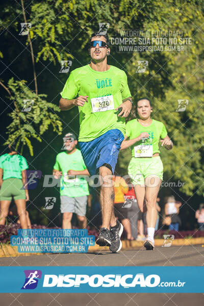 Vale Verde Run 2024