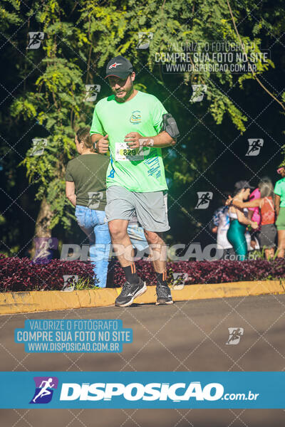 Vale Verde Run 2024