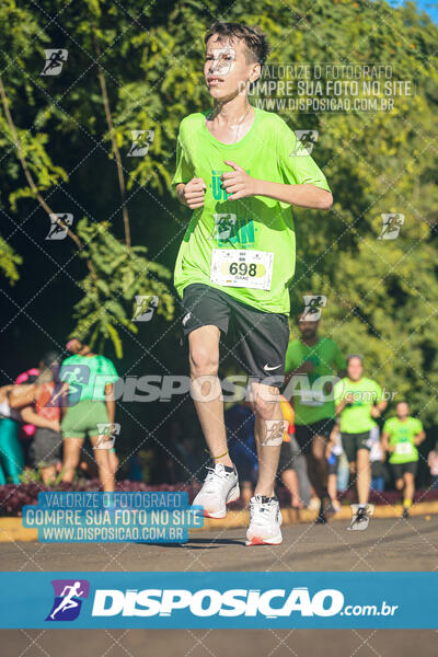 Vale Verde Run 2024