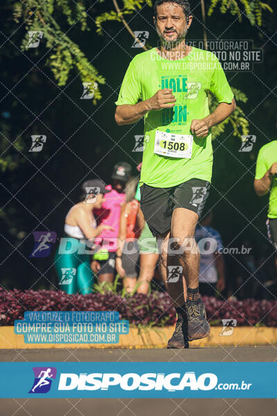 Vale Verde Run 2024