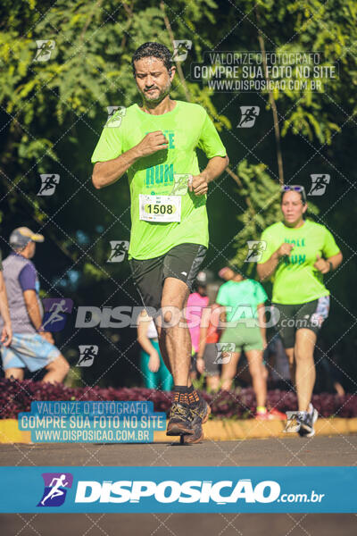 Vale Verde Run 2024