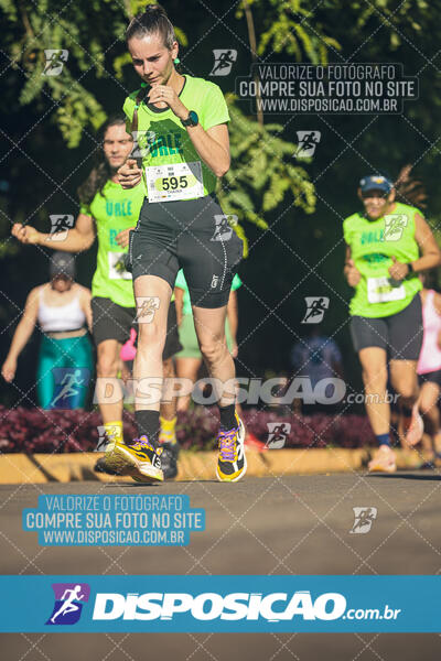 Vale Verde Run 2024