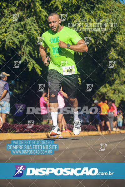 Vale Verde Run 2024