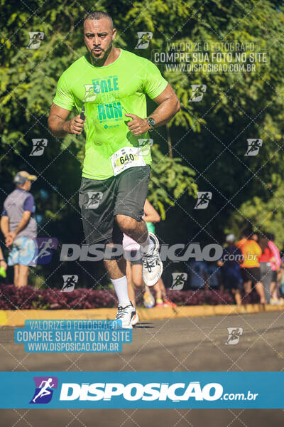 Vale Verde Run 2024