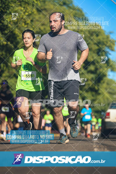 Vale Verde Run 2024