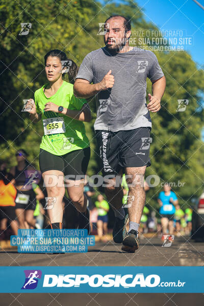 Vale Verde Run 2024