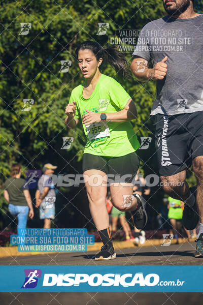 Vale Verde Run 2024