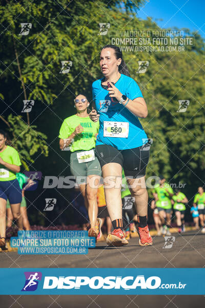 Vale Verde Run 2024