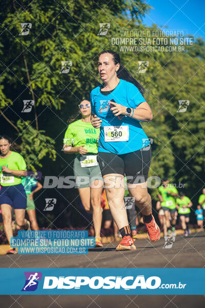 Vale Verde Run 2024