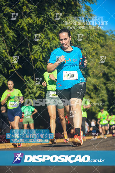 Vale Verde Run 2024