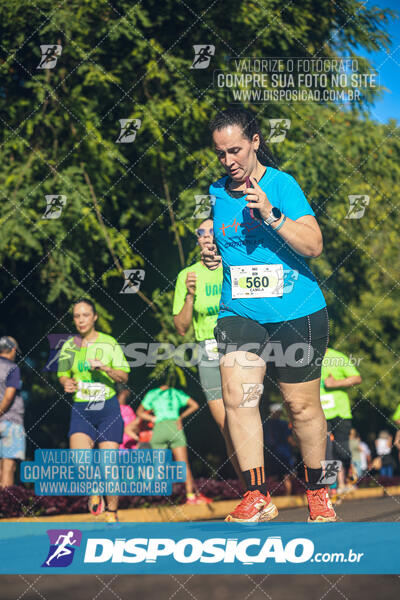 Vale Verde Run 2024