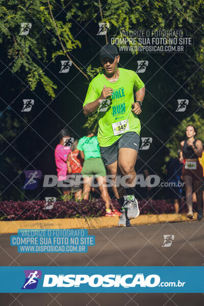 Vale Verde Run 2024