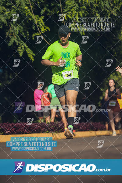 Vale Verde Run 2024