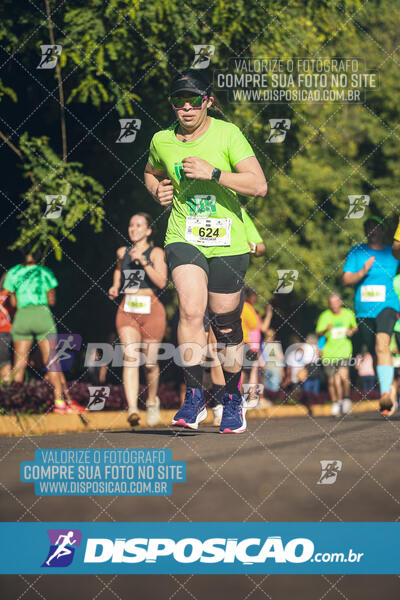 Vale Verde Run 2024