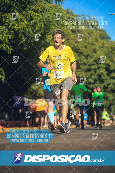 Vale Verde Run 2024