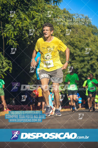 Vale Verde Run 2024