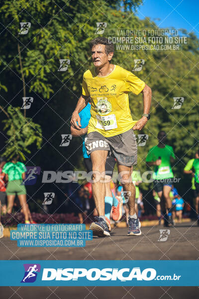 Vale Verde Run 2024