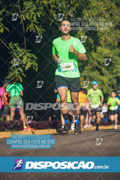 Vale Verde Run 2024