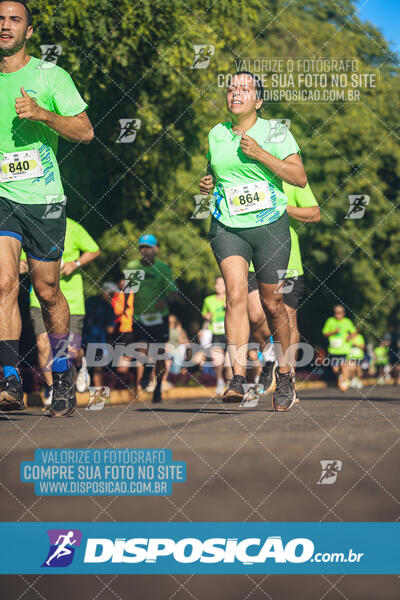 Vale Verde Run 2024