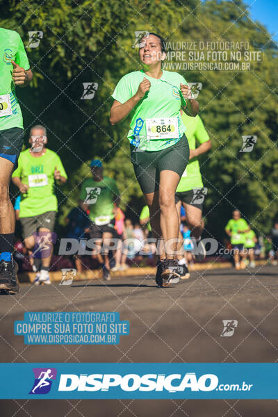 Vale Verde Run 2024