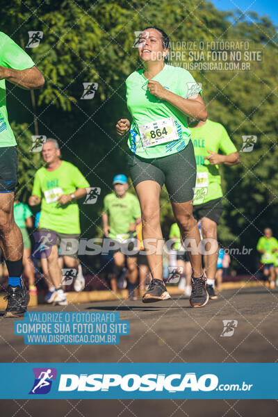 Vale Verde Run 2024