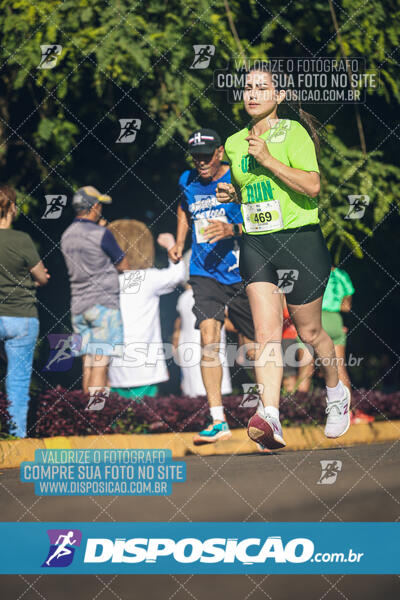 Vale Verde Run 2024