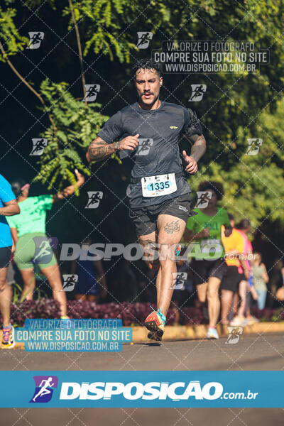 Vale Verde Run 2024